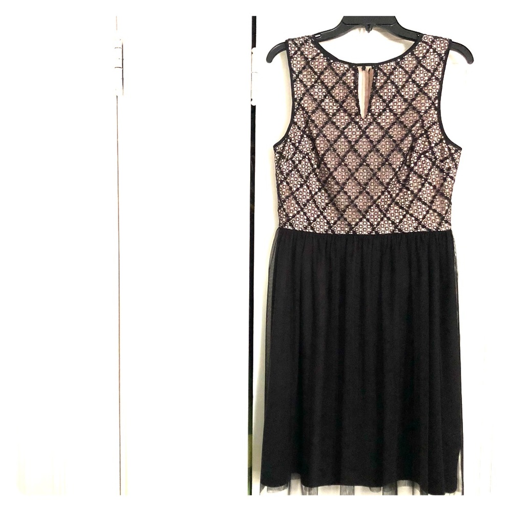 Maggy London Lace & Tulle Dress